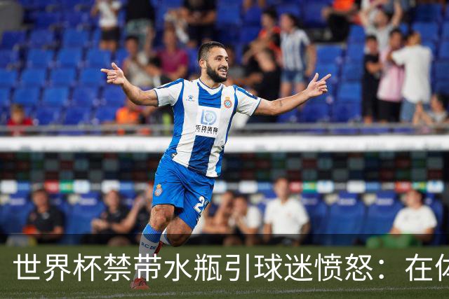 世界杯禁带水瓶引球迷愤怒：在体育场里买？难道更贵就更安全？